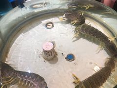 -强记海鲜·大排档(蛇口新街店)