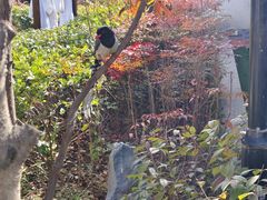-太白山御龙湾温泉