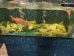 -新荣记(椒江店)
