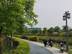 -长洲岛