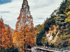 -大明山自然探索公园
