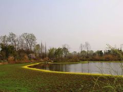 -桤木河湿地公园