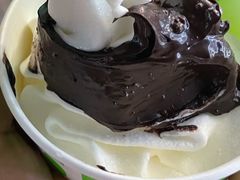 -Salud撒露欧洲冻酸奶(蓝色港湾店)