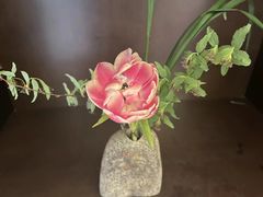 -南堂馆·新川菜(天府三街店)