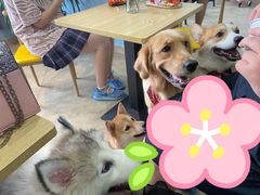 -汪说·狗咖(旺城大厦店)