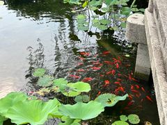 -东山雕花楼