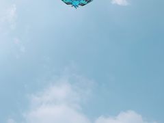 -杭州城北体育公园