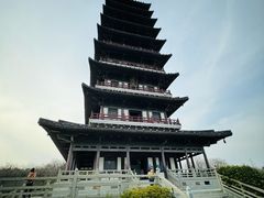 -宜兴龙背山森林公园