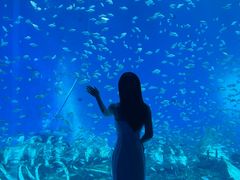 -合肥海洋世界