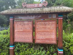 -墨江北回归线标志园