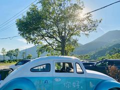 -大姆山草场