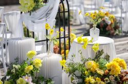 -亚洲海湾大酒店·宴会厅