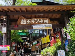 -宫城藏王狐狸村