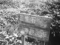 -杭州西湖风景名胜区-三生石