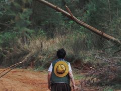 -长虫山生态公园风景林