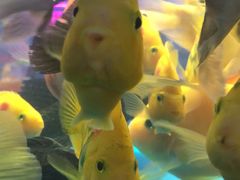 -三旗百汇商品城