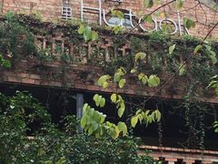 -胡桃里音乐酒馆(星湖北一里店)