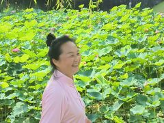 -沐仙湖湿地公园
