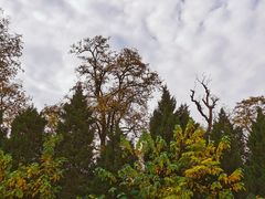 -汉长安城未央宫国家考古遗址公园