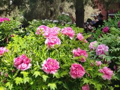 -成都驻京办餐厅(蜀都宾馆店)