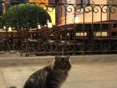 -巴伐利亚啤酒坊(意式风情街店)