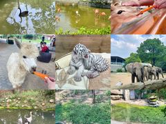 -常州淹城野生动物世界