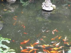 -国恩寺