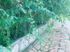 -北京西山国家森林公园