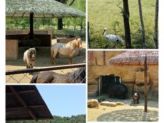 -沈阳森林动物园