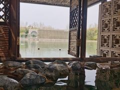 -春晖园度假酒店温泉