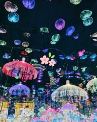 -萌兔星空蹦床撸兔馆