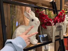 -屋顶花园餐厅(步行街老地王大厦店)