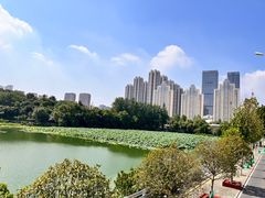 -月湖风景区