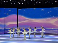 -中央芭蕾舞团·中芭艺蕾(酒仙桥明星校区)