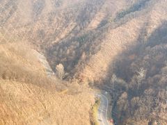 -栾川竹海野生动物园