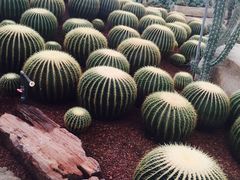 -南通洲际绿博园