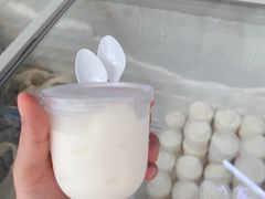 -洪馨椰子