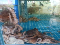 -必点蒸汽海鲜(止锚湾店)