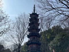 -上海佘山国家森林公园天马山园