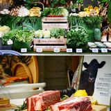 京彩臻品,自助餐的极致体验