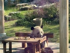 -无锡动物园·太湖欢乐园