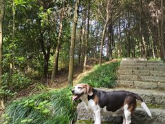 -梦姑塘文化公园