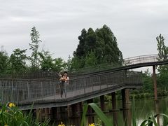 -白鹭湾湿地公园