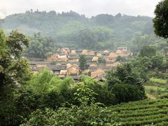 -杨家堂村