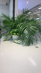 -P.STYLE派斯造型