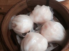 -颐和•海鲜砂锅粥•啫啫煲(奥林匹克广场店)