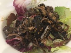 -维兰西餐(万泉河店)
