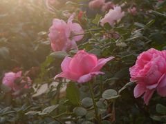 -人民公园(罗湖区)