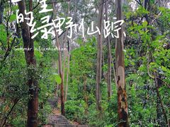 -莲花山公园