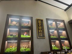 -菌自由丨野生菌火锅特色庭院餐厅(丽江古城店)